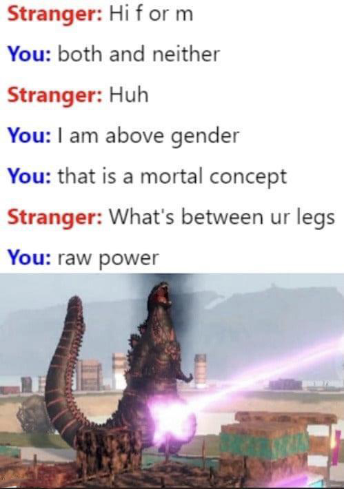 funny memes - dank memes - water resources - Stranger Hi form You both and neither Stranger Huh You I am above gender You that is a mortal concept Stranger What's between ur legs You raw power