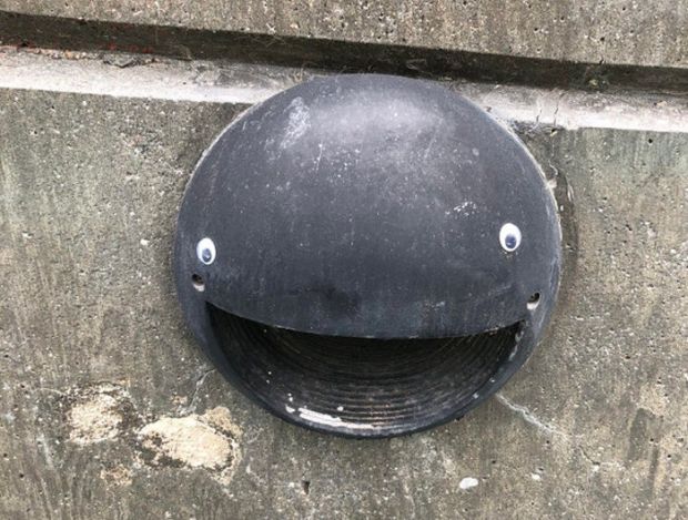 googly-eyed vandalism - helmet