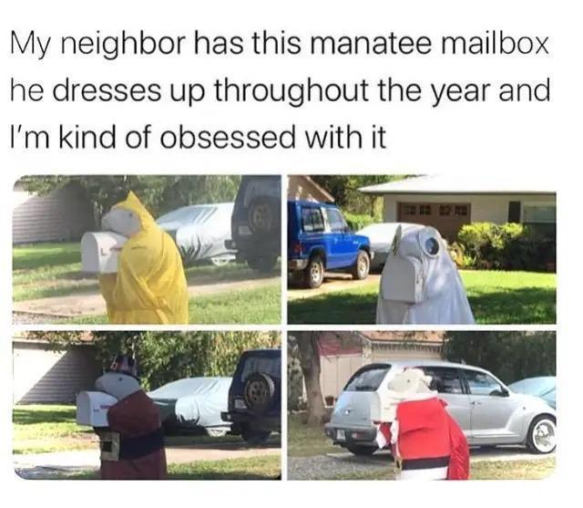 monday morning randomness - kind - My neighbor has this manatee mailbox he dresses up throughout the year and I'm kind of obsessed with it