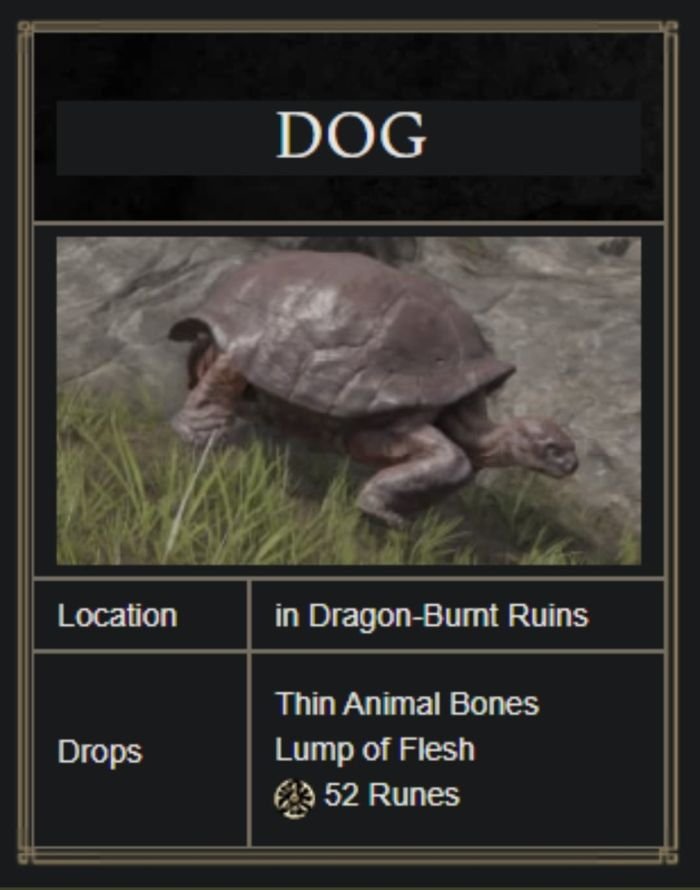 funny gaming memes  - Animal - Dog Location in DragonBurt Ruins Drops Thin Animal Bones Lump of Flesh 52 Runes