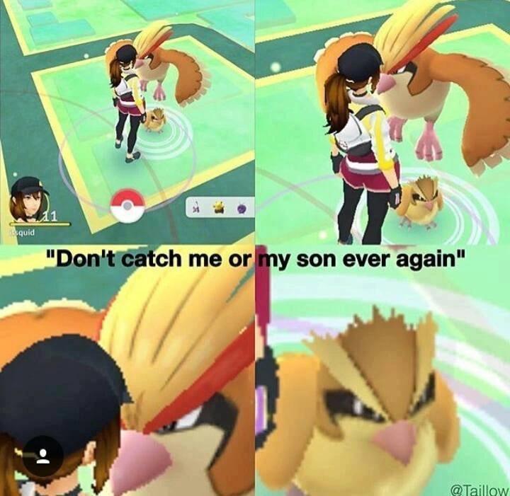 funny gaming memes  - don t talk to me or my son ever again pokemon - equid