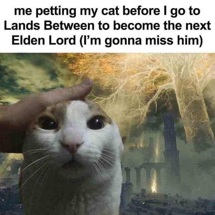 funny gaming memes  - me petting my cat elden ring meme - me petting my cat before I go to Lands Between to become the next Elden Lord I'm gonna miss him