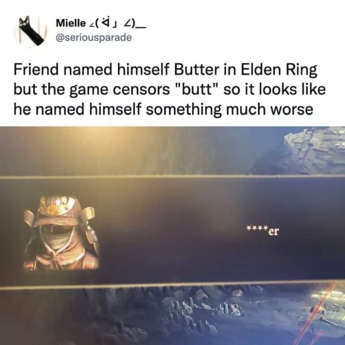 funny gaming memes  - Elden Ring - Mielle L_ Friend named himself Butter in Elden Ring but the game censors