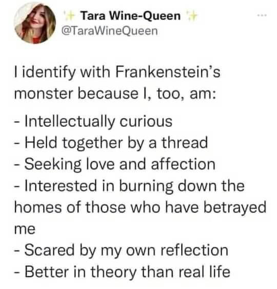 funny tweets and twitter memes - Tara WineQueen Queen Tidentify with Frankenstein's monster because I, too, am Intellectually curious Held together by a thread Seeking love and affection Interested in burning down the homes of those who have betrayed me S