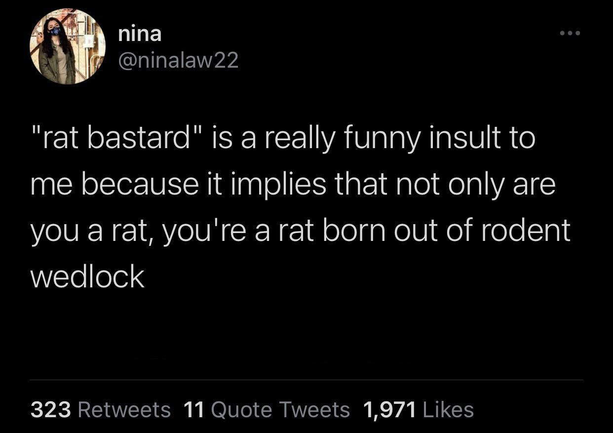 funny tweets and twitter memes - long distance relationship quotes - nina 22 "rat bastard" is a really funny insult to me because it implies that not only are you a rat, you're a rat born out of rodent wedlock 323 11 Quote Tweets 1,971