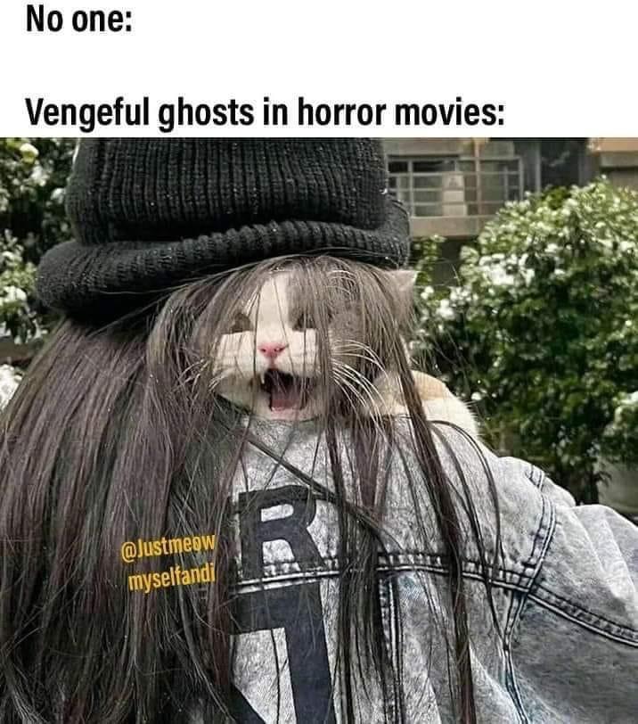 dank memes - funny memes - photo caption - No one Vengeful ghosts in horror movies myselfandi 2.21