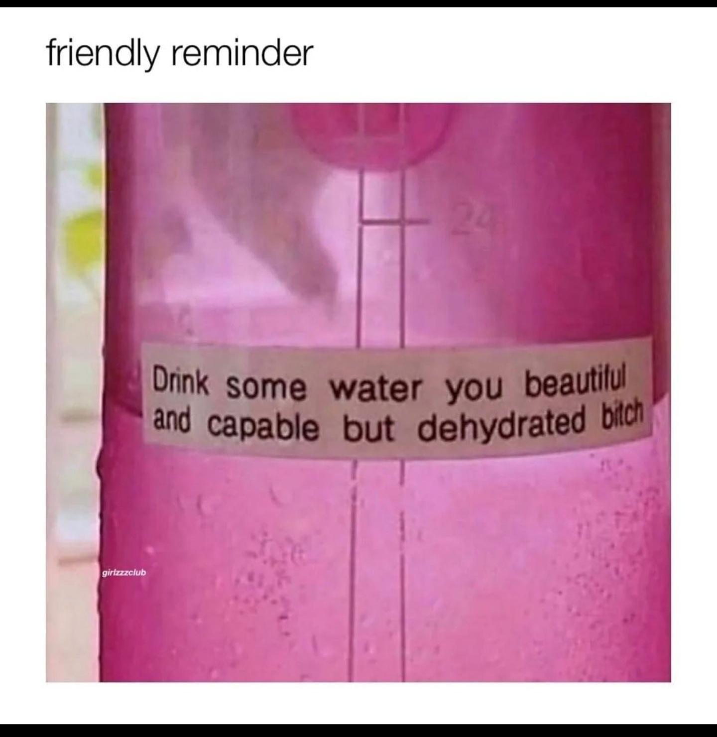 dank memes - funny memes - angle - friendly reminder Drink some water you beautilul and capable but dehydrated bitch girlzzzclub