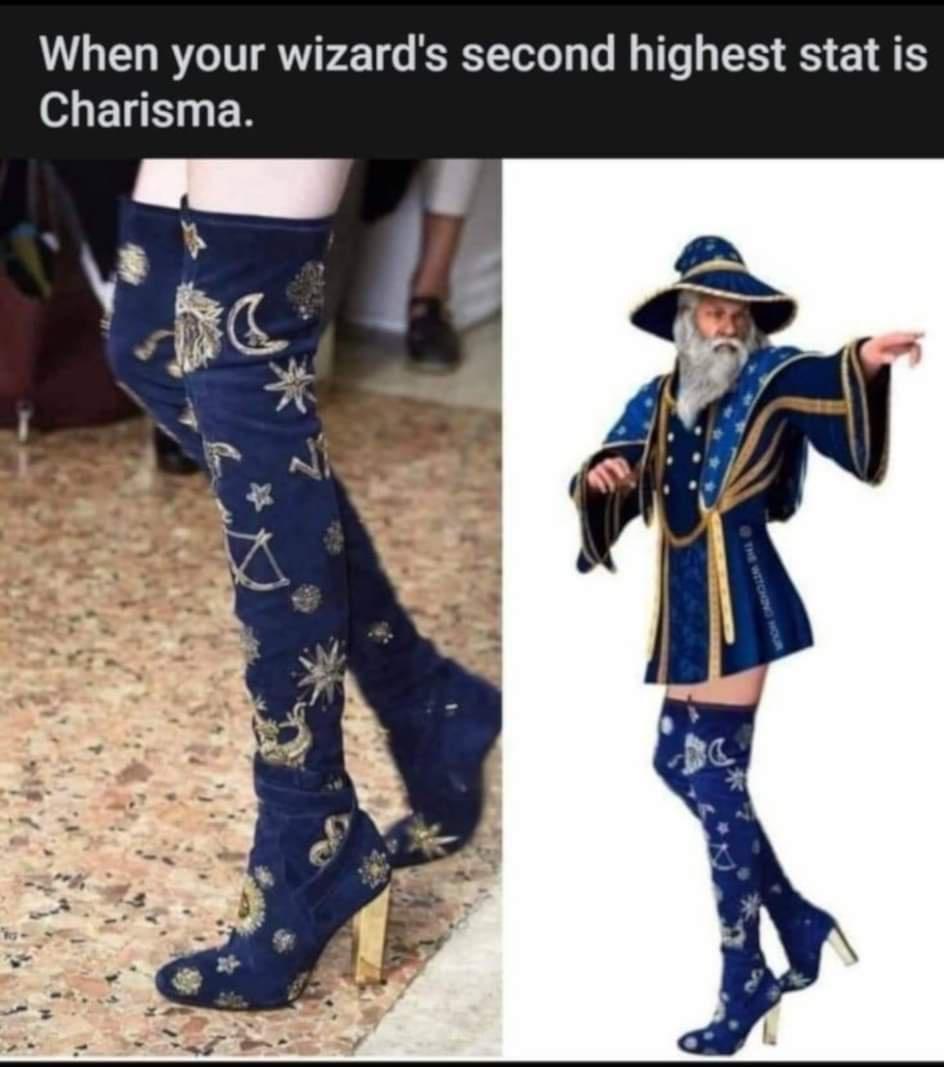 funny gaming memes --  your wizard's second highest stat is charisma - When your wizard's second highest stat is Charisma.