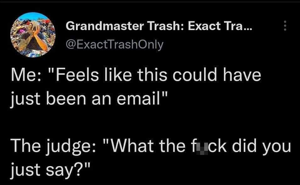 twitter memes - funny memes - point - Grandmaster Trash Exact Tra... Me "Feels this could have just been an email" The judge "What the fuck did you just say?"