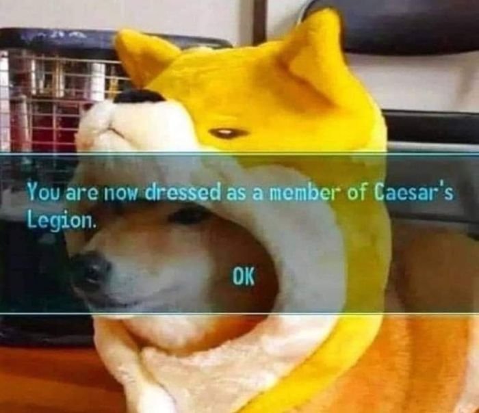 funny gaming memes - you are now dressed as a member - You are now dressed as a member of Caesar's Legion. Ok