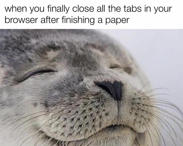 funny gaming memes - wholesome seal meme - when you finally close all the tabs in your browser after finishing a paper a