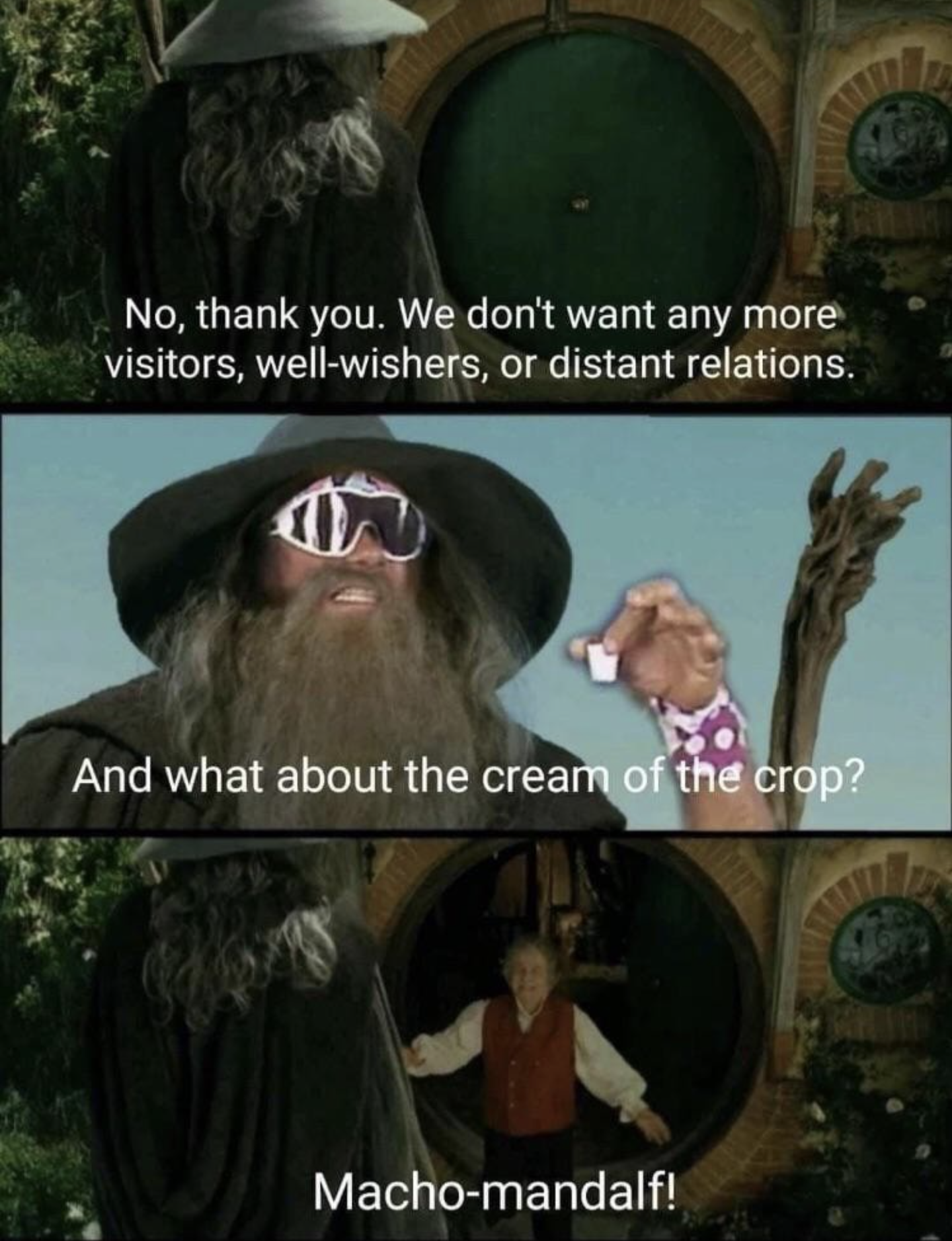 funny memes - we don t want any more well wishers - Hd No, thank you. We don't want any more visitors, wellwishers, or distant relations. And what about the cream of the crop? Machomandalf!