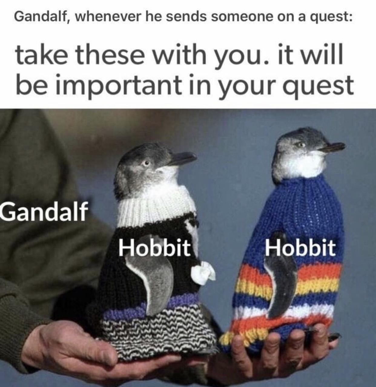 funny memes - australia's oldest man knits sweaters for penguins - Gandalf, whenever he sends someone on a quest take these with you. it will be important in your quest Gandalf Hobbit Hobbit