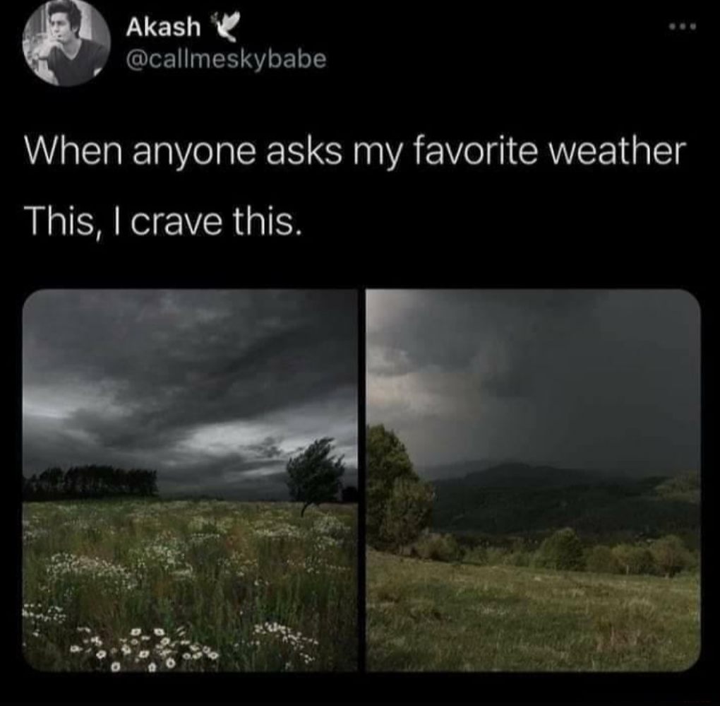 funny memes - anyone asks my favorite weather - Akash When anyone asks my favorite weather This, I crave this.
