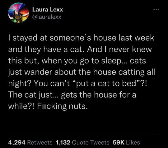 funny tweets - Tomato quesadilla - Laura Lexx I stayed at someone's house last week and they have a cat. And I never knew this but, when you go to sleep... cats just wander about the house catting all night? You can't put a cat to bed"?! The cat just... g