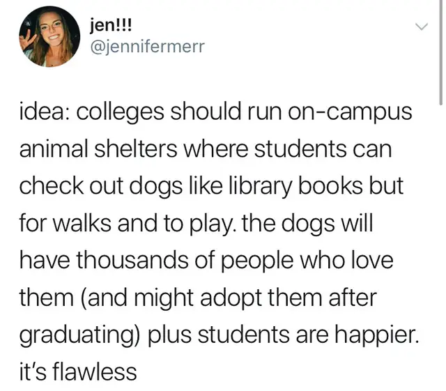 funny tweets - jen!!! idea colleges should run oncampus animal shelters where students can check out dogs library books but for walks and to play. the dogs will have thousands of people who love them and might adopt them after graduating plus students are