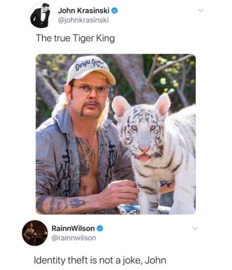 The Office memes - john krasinski tiger king - John Krasinski The true Tiger King Dwight fordi Rainn Wilson Identity theft is not a joke, John