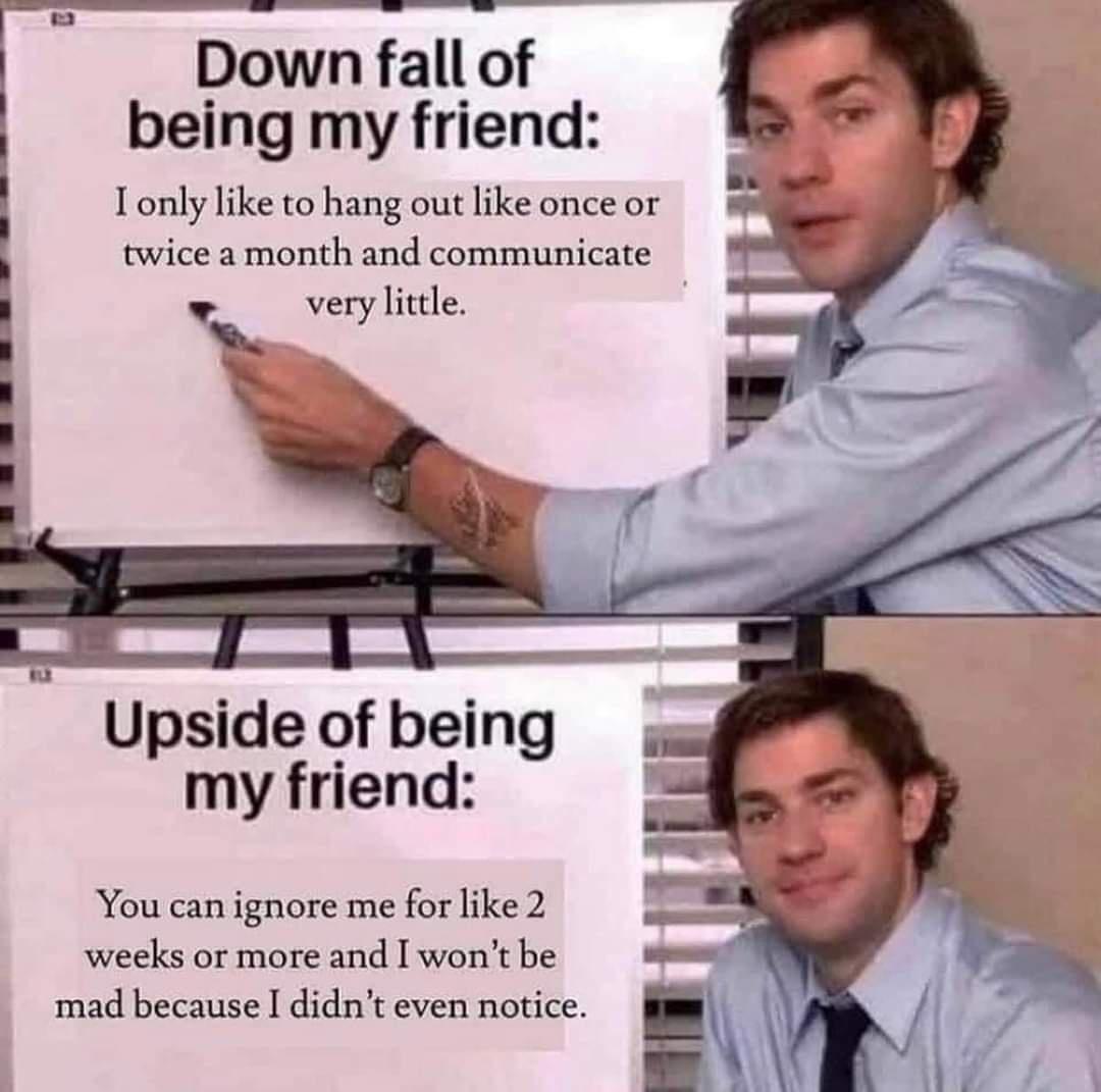 The Office memes - muh freedoms meme - Down fall of being my friend I only to hang out once or twice a month and communicate very little. Upside of being my friend You can ignore me for 2 weeks or more and I won't be mad because I didn't even notice.