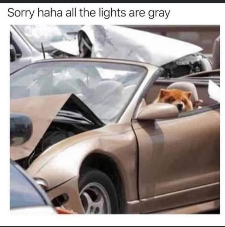 funny memes - dank memes - sorry all the lights are gray - Sorry haha all the lights are gray