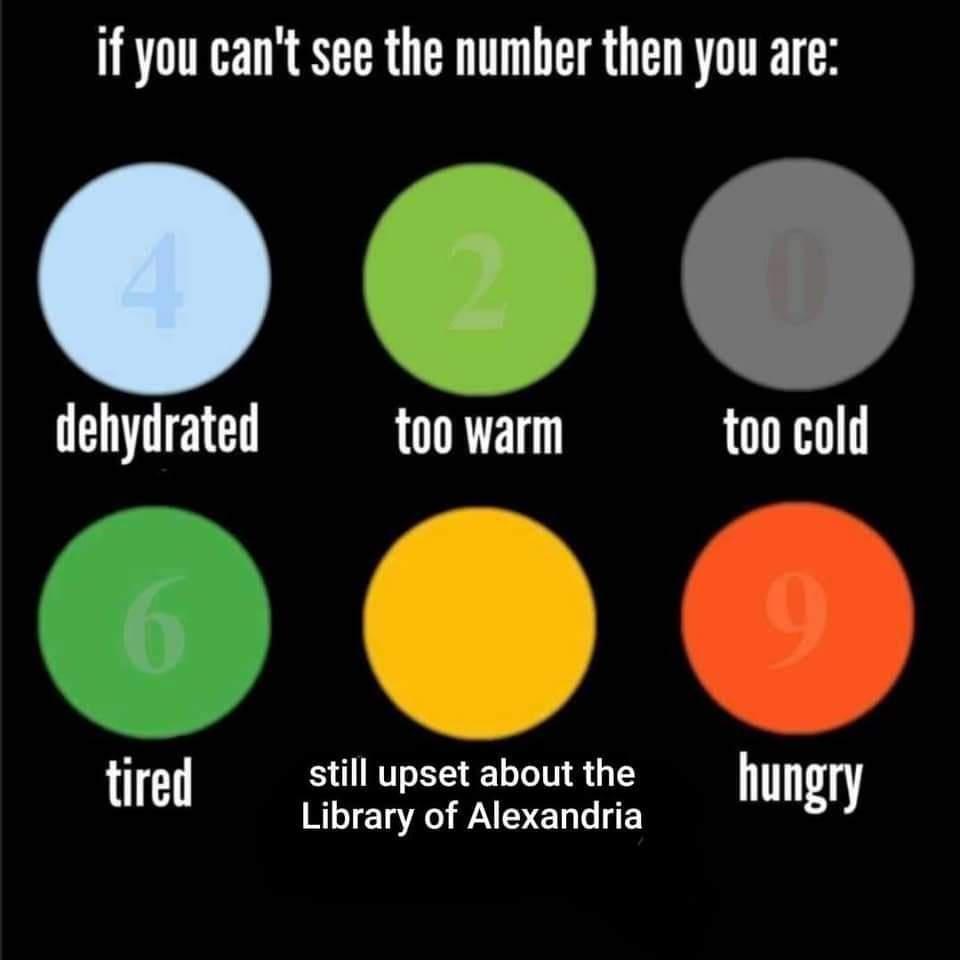 funny memes - dank memes - still upset about the library of alexandria - if you can't see the number then you are dehydrated too warm too cold 6 9 tired still upset about the Library of Alexandria hungry
