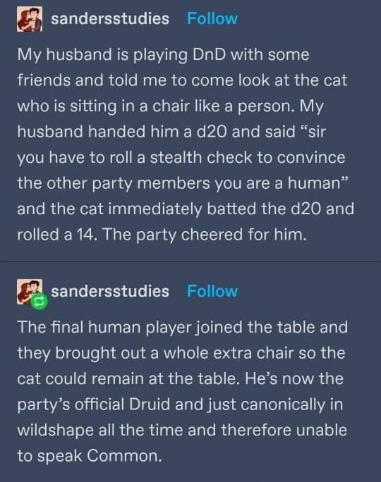 funny memes - dank memes - dnd wholesome - Gt sandersstudies My husband is playing DnD with some friends and told me to come look at the cat who is sitting in a chair a person. My husband handed him a d20 and said "sir you have to roll a stealth check to 