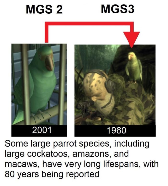 funny gaming memes - fauna - Mgs 2 MGS3 2001 1960 Some large parrot species, including large cockatoos, amazons, and macaws, have very long lifespans, with 80 years being reported