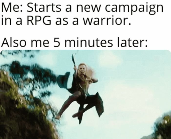 funny gaming memes - fauna - Me Starts a new campaign in a Rpg as a warrior. Also me 5 minutes later