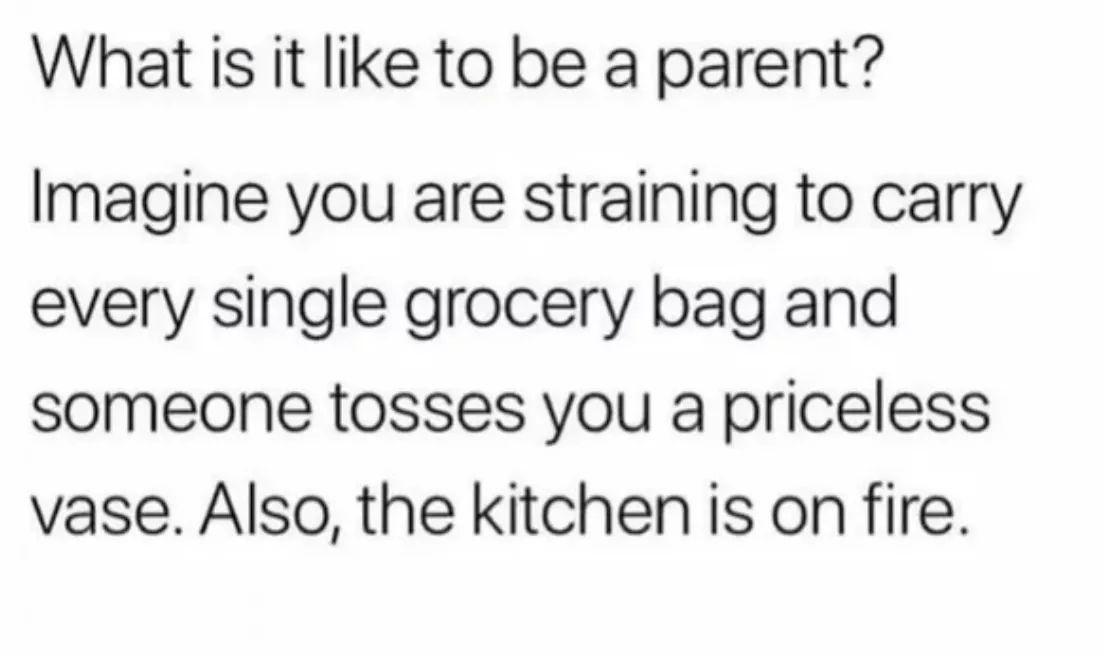 funny memes - dank memes - isfp confessions - What is it to be a parent? Imagine you are straining to carry every single grocery bag and someone tosses you a priceless vase. Also, the kitchen is on fire.