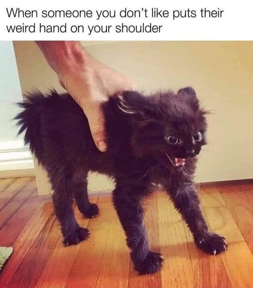 funny memes - dank memes - someone you don t like puts their weird hand on your shoulder - When someone you don't puts their weird hand on your shoulder