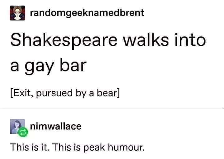 funny memes - dank memes - shakespeare exit pursued by a bear - randomgeeknamedbrent Shakespeare walks into a gay bar Exit, pursued by a bear nimwallace This is it. This is peak humour.