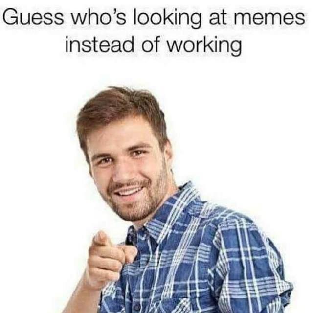 funny memes - dank memes - funny work memes - Guess who's looking at memes instead of working