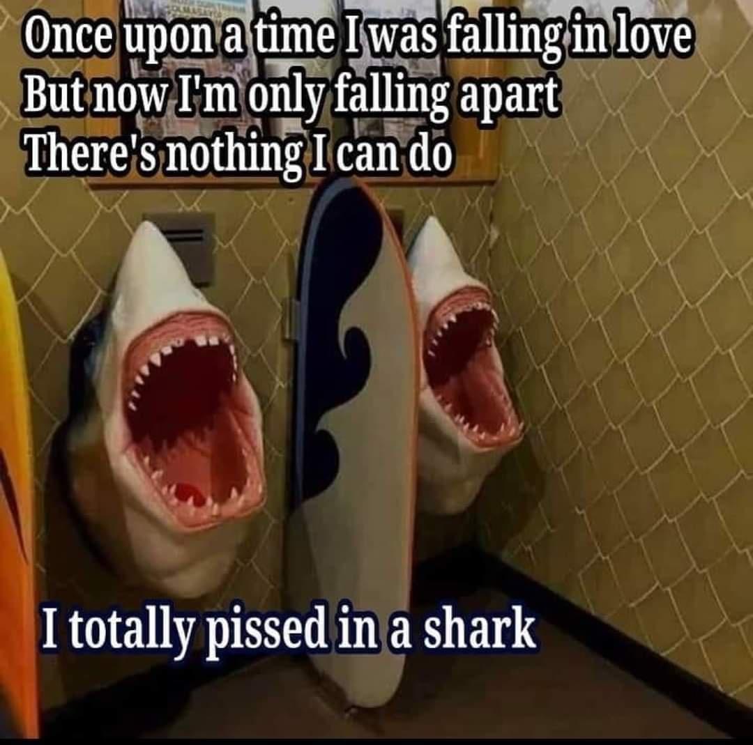 funny memes - dank memes - photo caption - Once upon a time I was falling in love But now I'm only falling apart There's nothing I can do I totally pissed in a shark