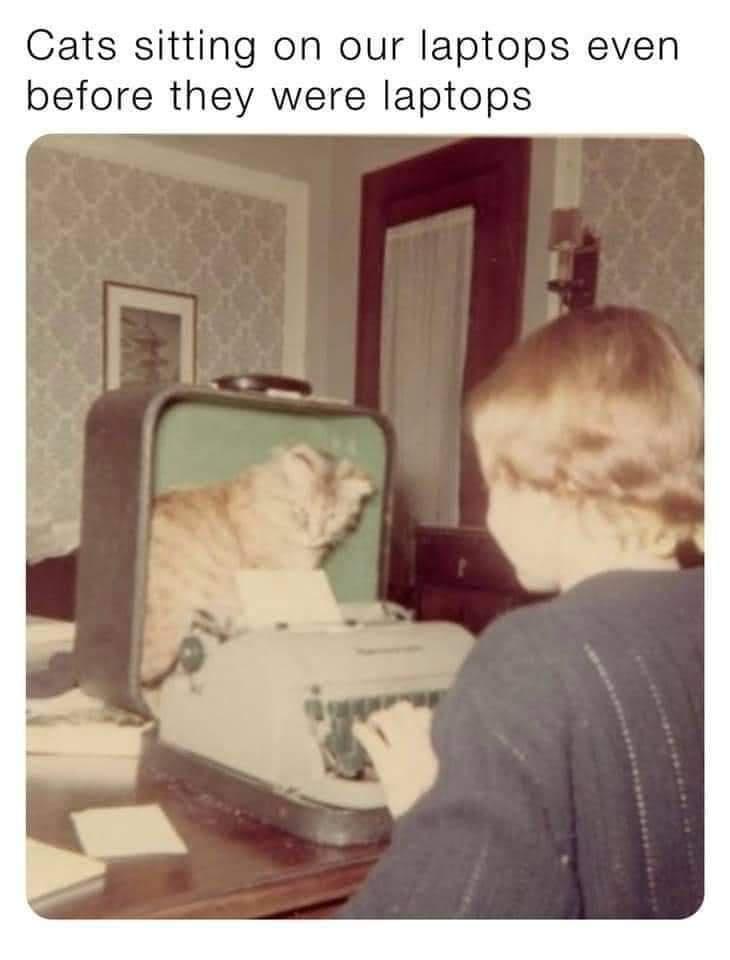funny memes - dank memes - photo caption - Cats sitting on our laptops even before they were laptops