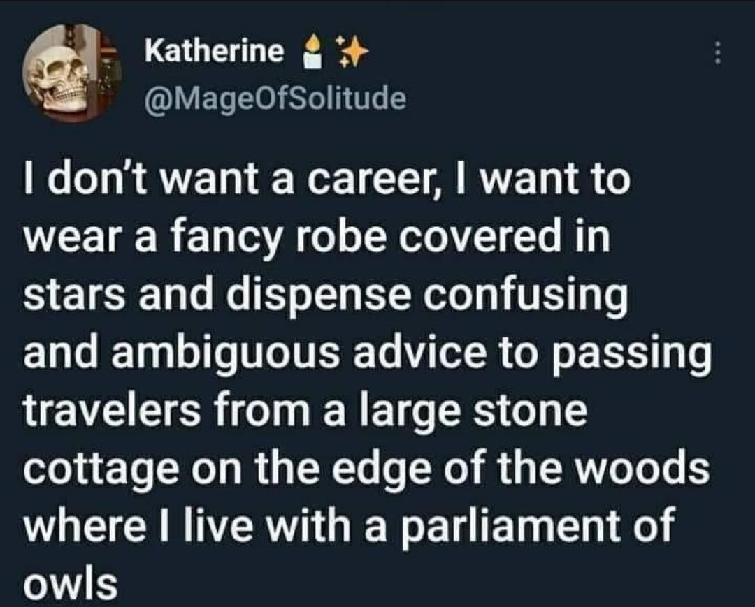 funny memes - dank memes - transformed wife tweets - Katherine I don't want a career, I want to wear a fancy robe covered in stars and dispense confusing and ambiguous advice to passing travelers from a large stone cottage on the edge of the woods where I