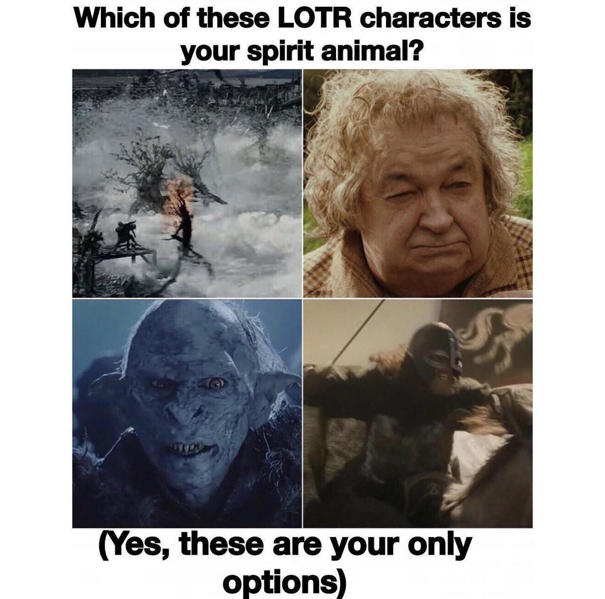 funny pics and memes - human - Which of these Lotr characters is your spirit animal? Yes, these are your only options