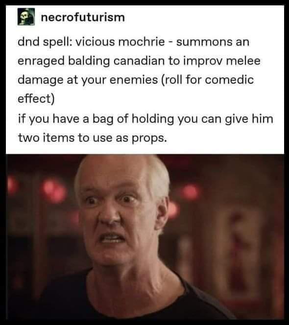 funny gaming memes - photo caption - necrofuturism dnd spell vicious mochrie summons an enraged balding canadian to improv melee damage at your enemies roll for comedic effect if you have a bag of holding you can give him two items to use as props.