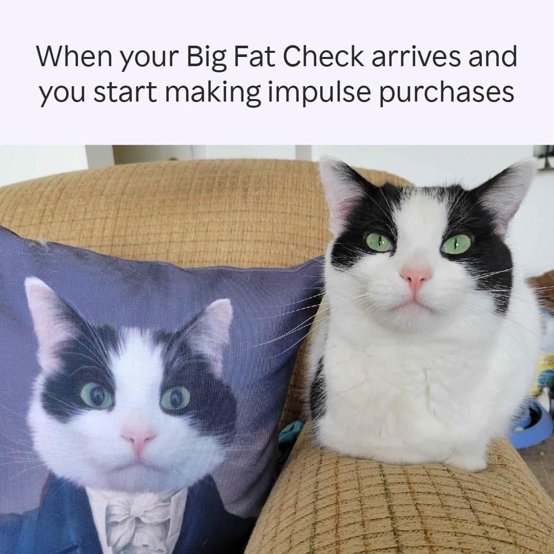 funny memes - photo caption - When your Big Fat Check arrives and you start making impulse purchases