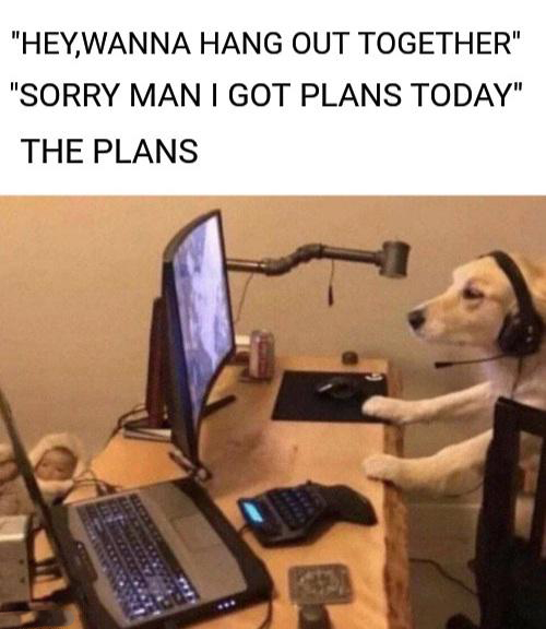 gaming memes - "Hey,Wanna Hang Out Together" "Sorry Man I Got Plans Today" The Plans
