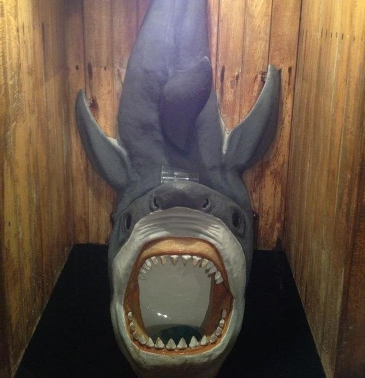 WTF Pictures - shark thing