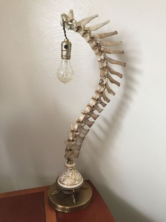 WTF Pictures - spine light