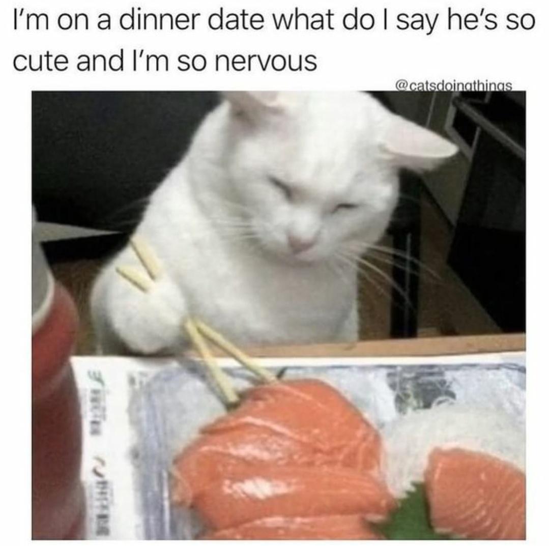 dank memes - cat eating sushi - I'm on a dinner date what do I say he's so cute and I'm so nervous