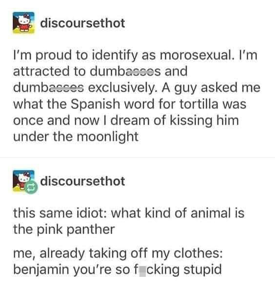 dank memes - studio ghibli text post - discoursethot I'm proud to identify as morosexual. I'm attracted to dumbascos and dumbacces exclusively. A guy asked me what the Spanish word for tortilla was once and now I dream of kissing him under the moonlight d