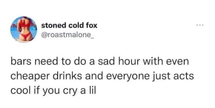 funny tweets - diagram - stoned cold fox bars need to do a sad hour with even cheaper drinks and everyone just acts cool if you cry a lil