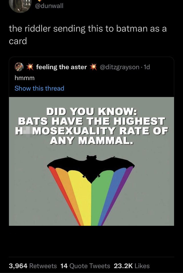 funny tweets - manchester city team 2010 - the riddler sending this to batman as a card . 1d feeling the aster hmmm Show this thread Did You Know Bats Have The Highest H Mosexuality Rate Of Any Mammal. 3,964 14 Quote Tweets