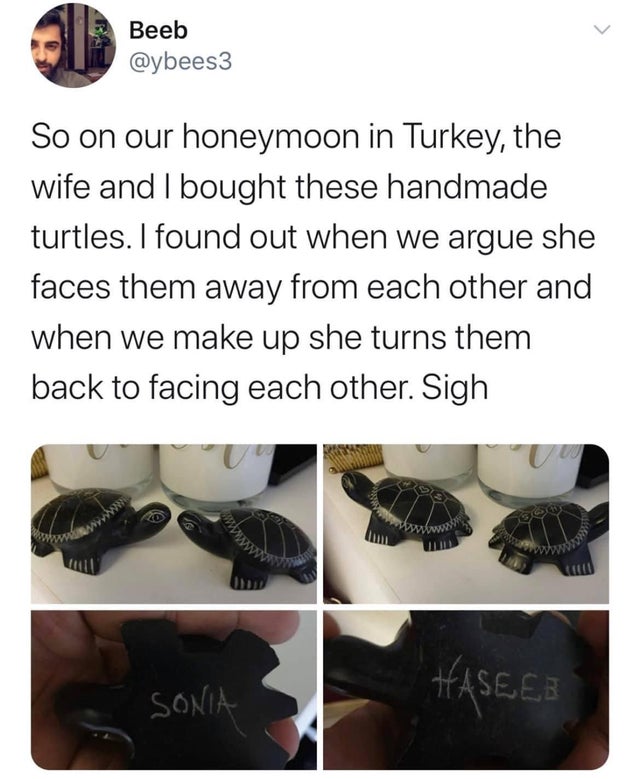 funny tweets - Beeb So on our honeymoon in Turkey, the wife and I bought these handmade turtles. I found out when we argue she faces them away from each other and when we make up she turns them back to facing each other. Sigh w www Haseee Sonia