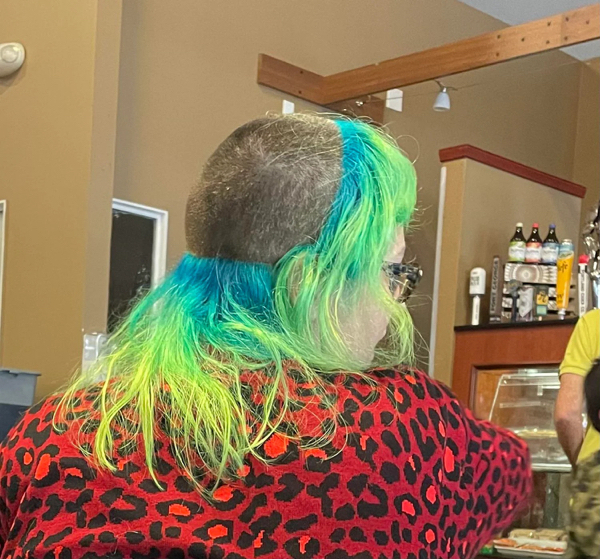 awful hairdos - hair coloring