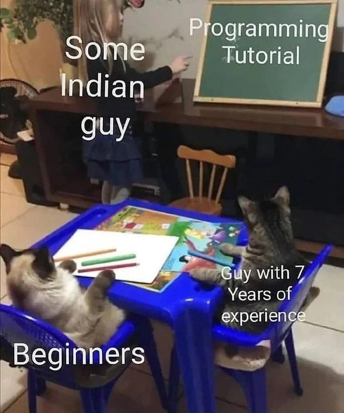 gaming memes - girl teaching cats - Programming Tutorial Some Indian guy Guy with 7 Years of experience Beginners