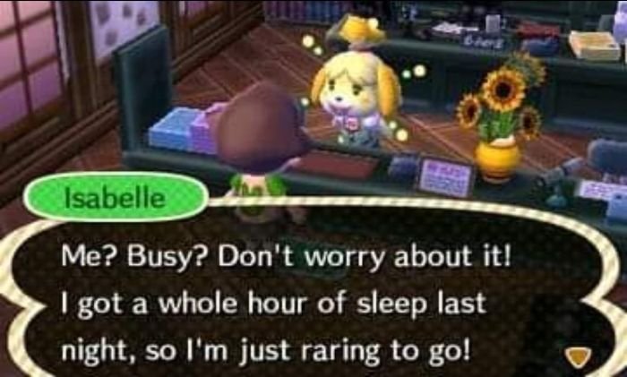 gaming memes - animal crossing sleep meme - Be Isabelle Me? Busy? Don't worry about it! I got a whole hour of sleep last night, so I'm just raring to go!