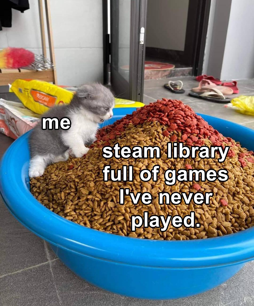 gaming memes - connect - 930AM me steam library full of games I've never played.