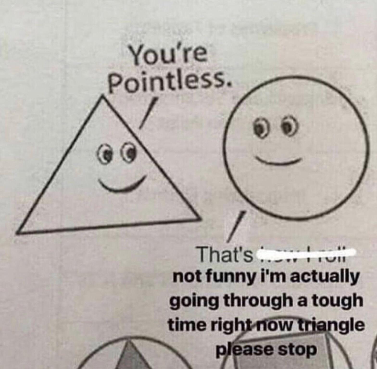 funny memes - dank memes macnaught - You're Pointless. That's .... Tiu not funny i'm actually going through a tough time right now triangle please stop